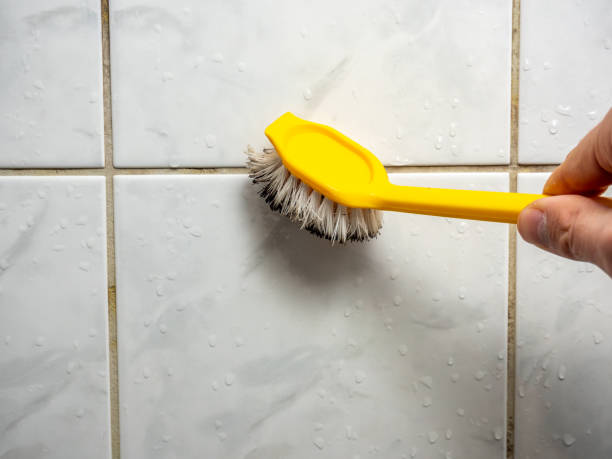 Best Industrial Mold Remediation in Washington, NC