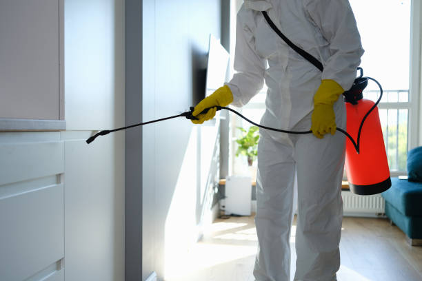 Best Mold Remediation for Specific Building Types in Washington, NC